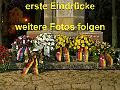 Impressionen